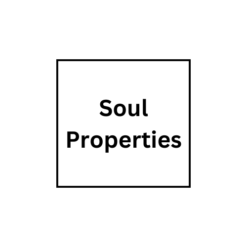 Client - Soul properties
